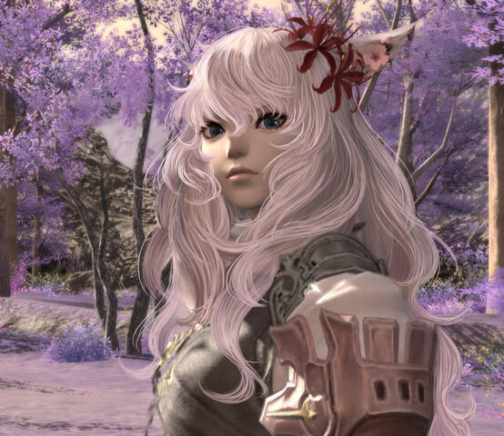ScreenSHB ScreenSHB